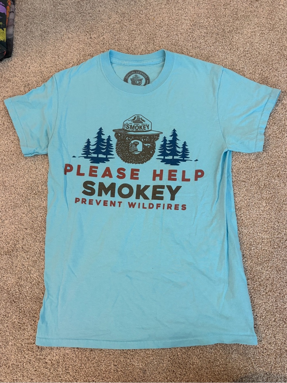 Smokey Bear Prevent Wildfires Official Light Blue Graphic T-Shirt Size Small